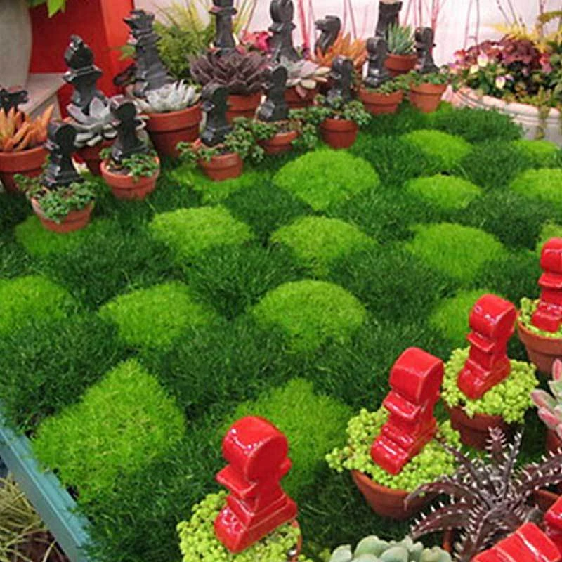 Irish Moss - Yellow - Image 4